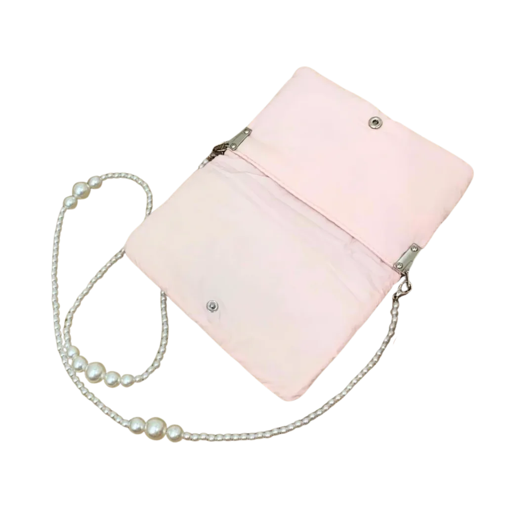 Dior Puffy Pink Pouch