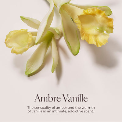 Laura Mercier Delicious & Decadent Ambre Vanille Collection