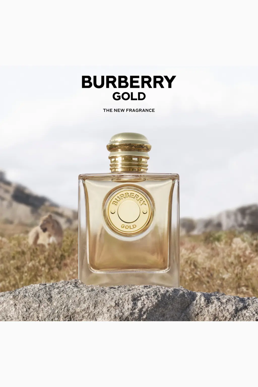 BURBERRY Gold Eau de Parfum