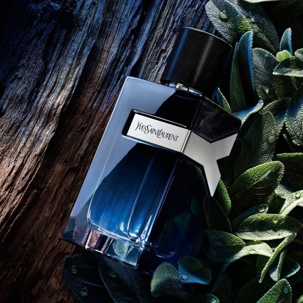 عطر إيف سان لوران YSL Y Eau de Parfum مع إبرة الراعي الطازجة والأخشاب الحسية