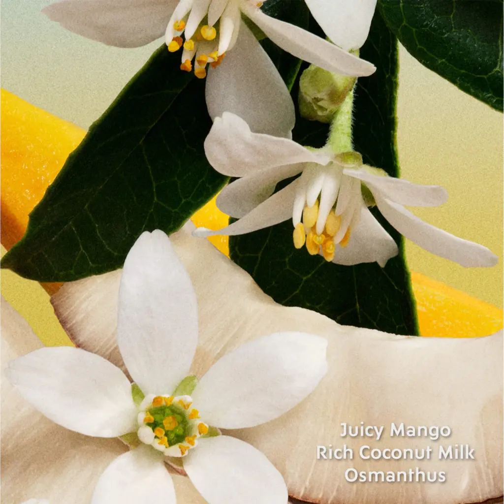 Miu Miu Fleur de Lait Eau de Parfum with Coconut Milk