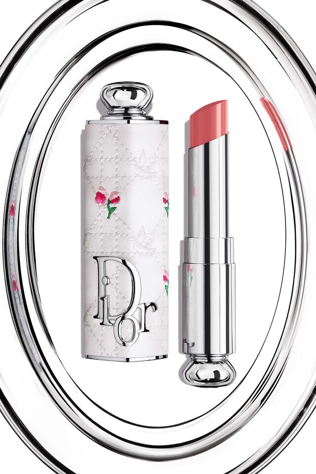 Dior Addict Case – Limited Edition