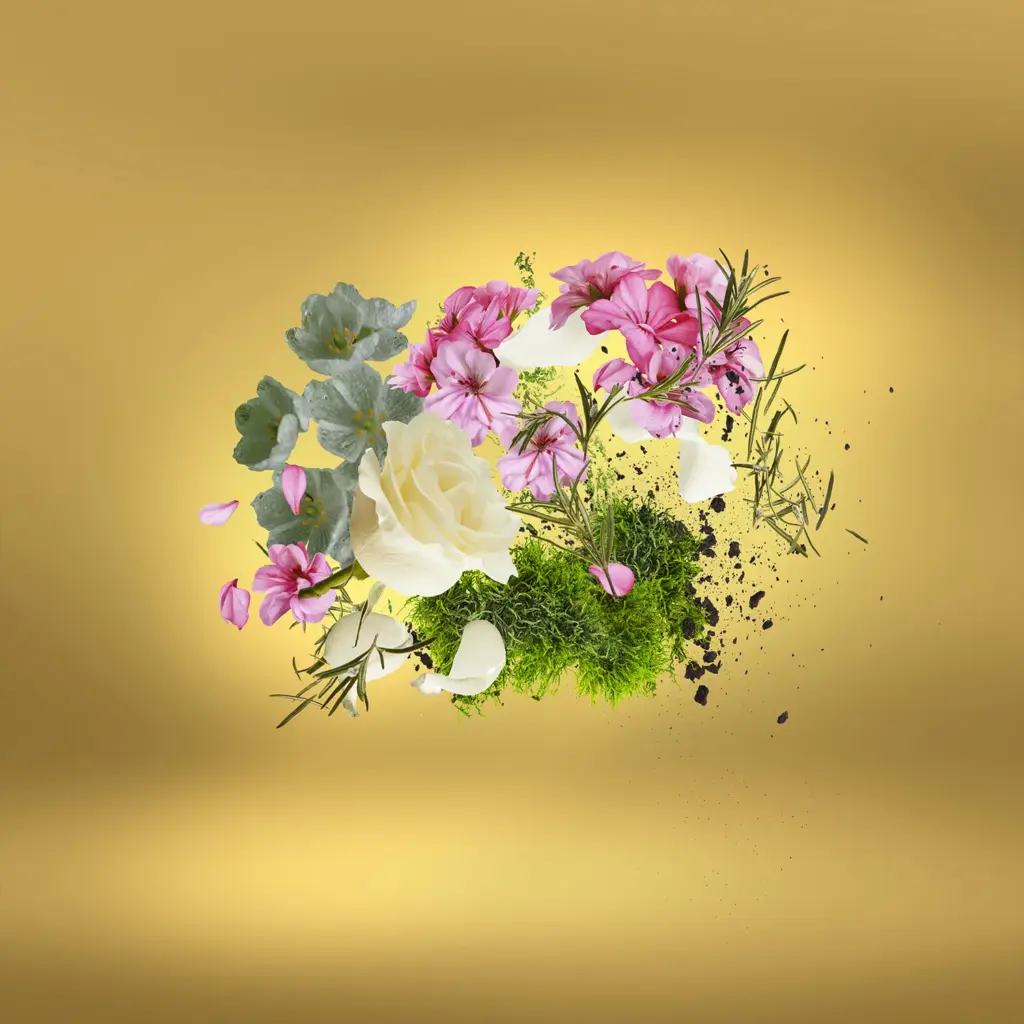عطر زيرجوف كاساموراتي كاسافوتورا