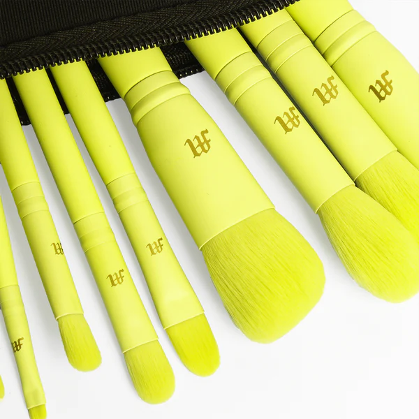 Made by Mitchell 16 Piece Makeup Brush Set & Brush Pouch