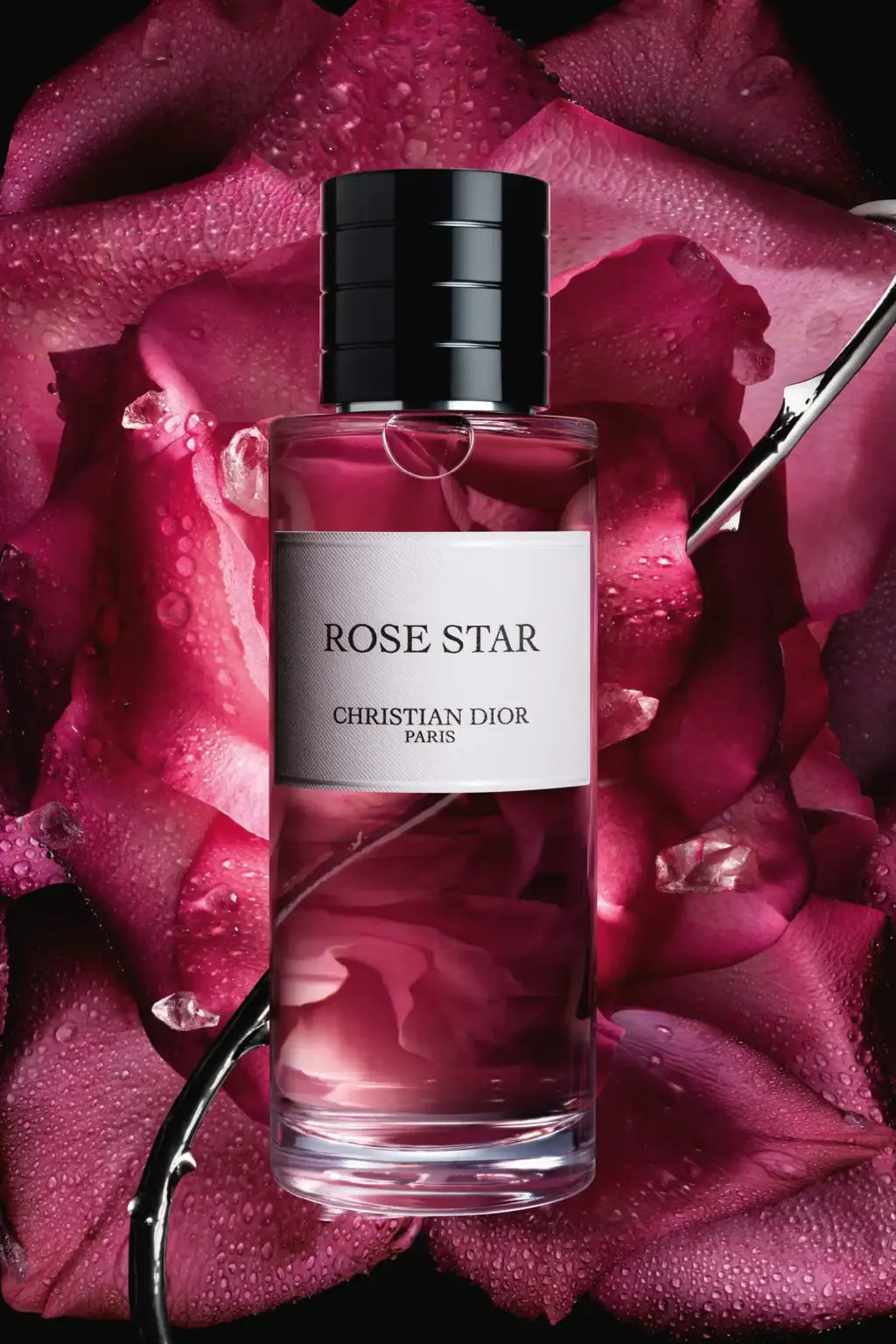 DIOR Rose Star Edp