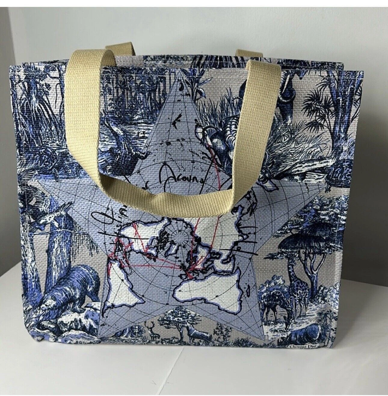 Dior Around the World Blue Tote Bag